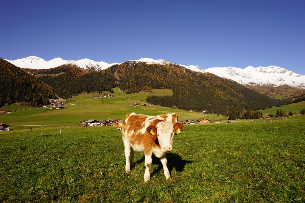 Appartamento Unterhabererhof Santa Maddalena in Val Casies Esterno foto