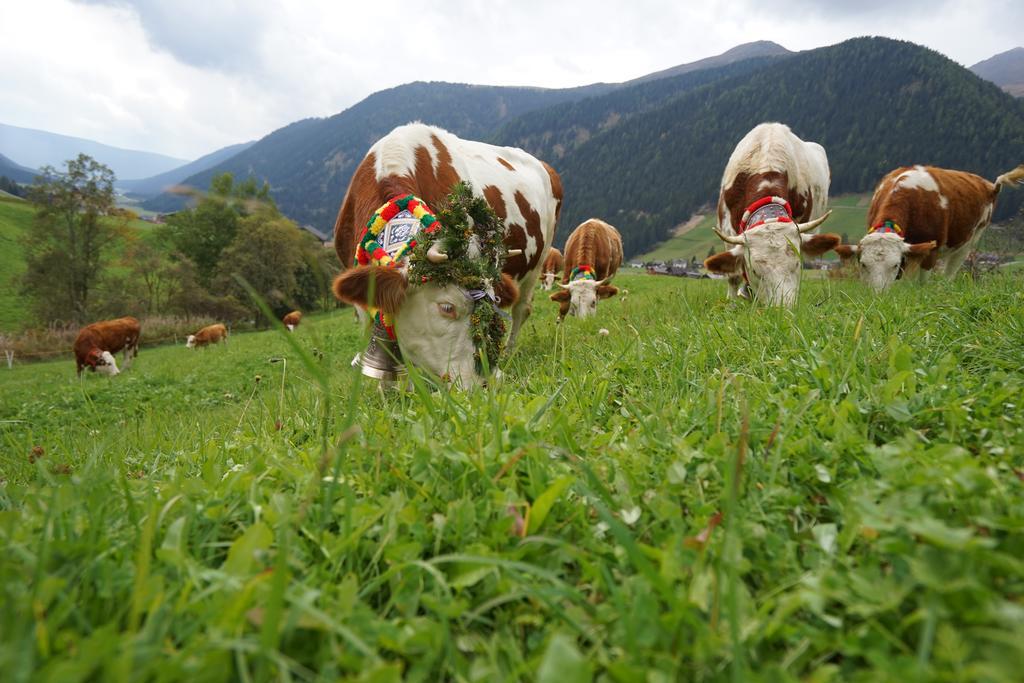 Appartamento Unterhabererhof Santa Maddalena in Val Casies Esterno foto