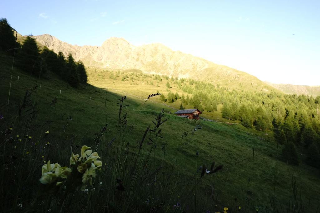 Appartamento Unterhabererhof Santa Maddalena in Val Casies Esterno foto