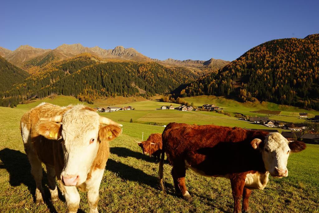 Appartamento Unterhabererhof Santa Maddalena in Val Casies Esterno foto