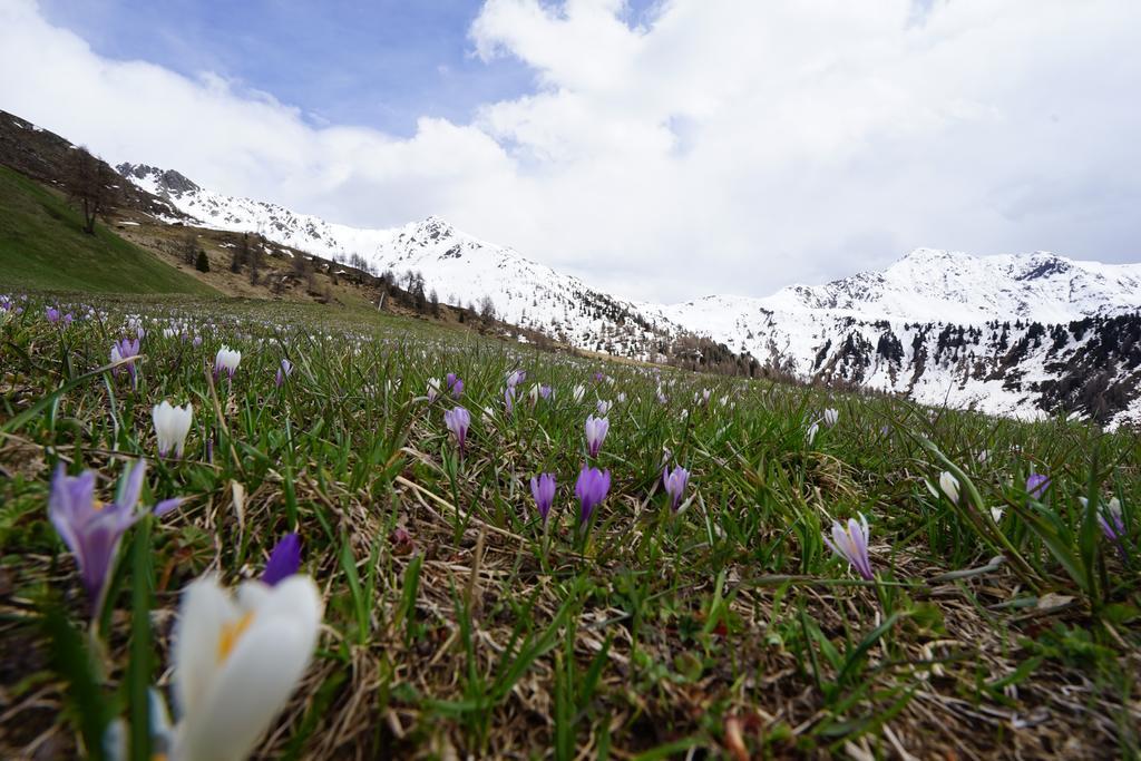 Appartamento Unterhabererhof Santa Maddalena in Val Casies Esterno foto
