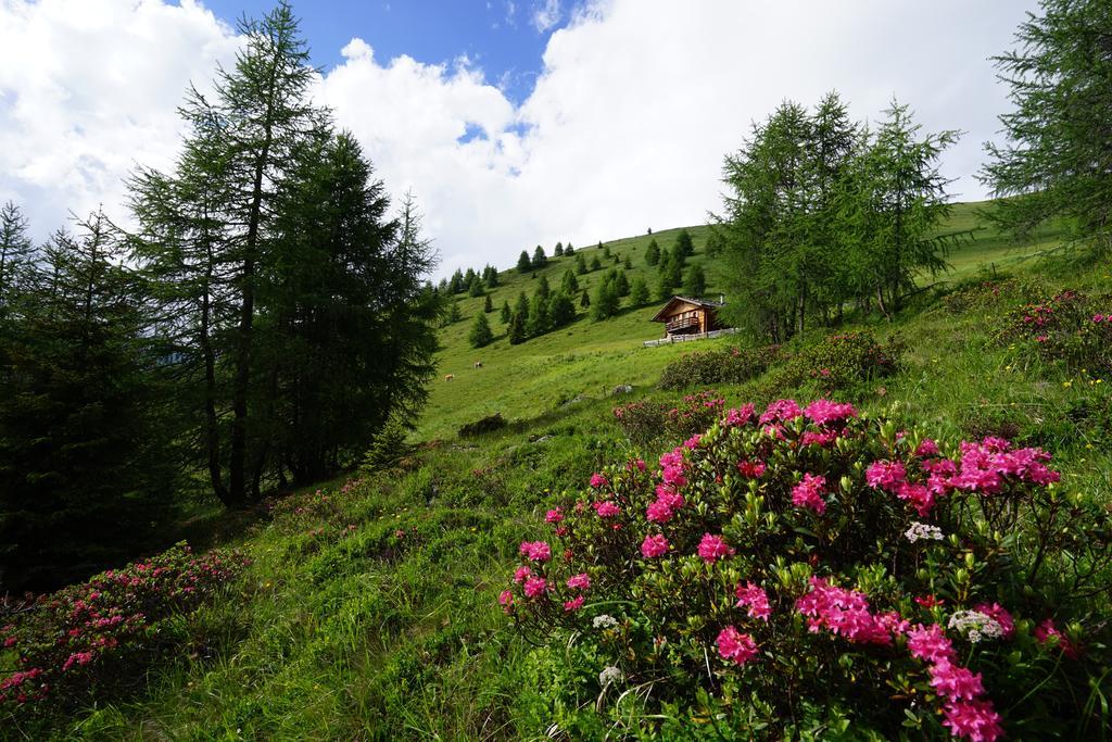 Appartamento Unterhabererhof Santa Maddalena in Val Casies Esterno foto