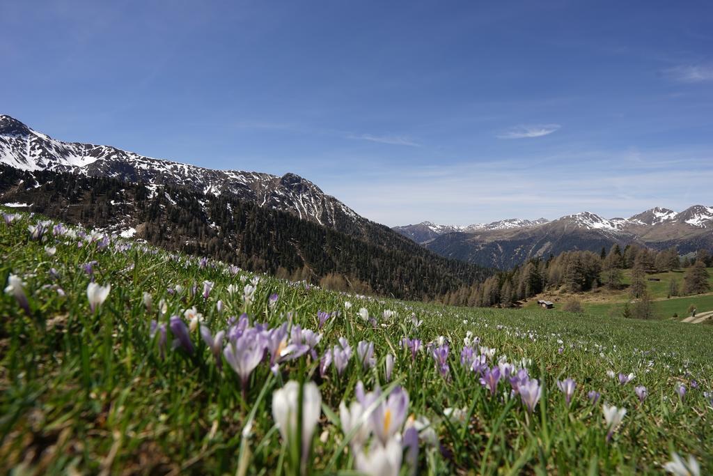 Appartamento Unterhabererhof Santa Maddalena in Val Casies Esterno foto