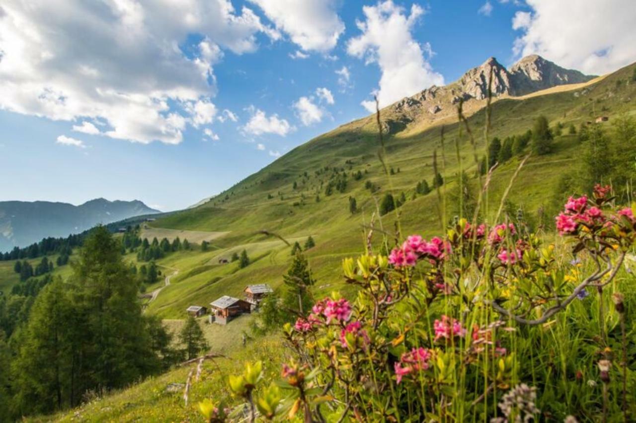 Appartamento Unterhabererhof Santa Maddalena in Val Casies Esterno foto