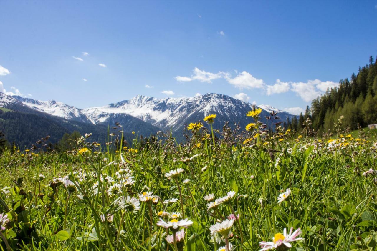 Appartamento Unterhabererhof Santa Maddalena in Val Casies Esterno foto