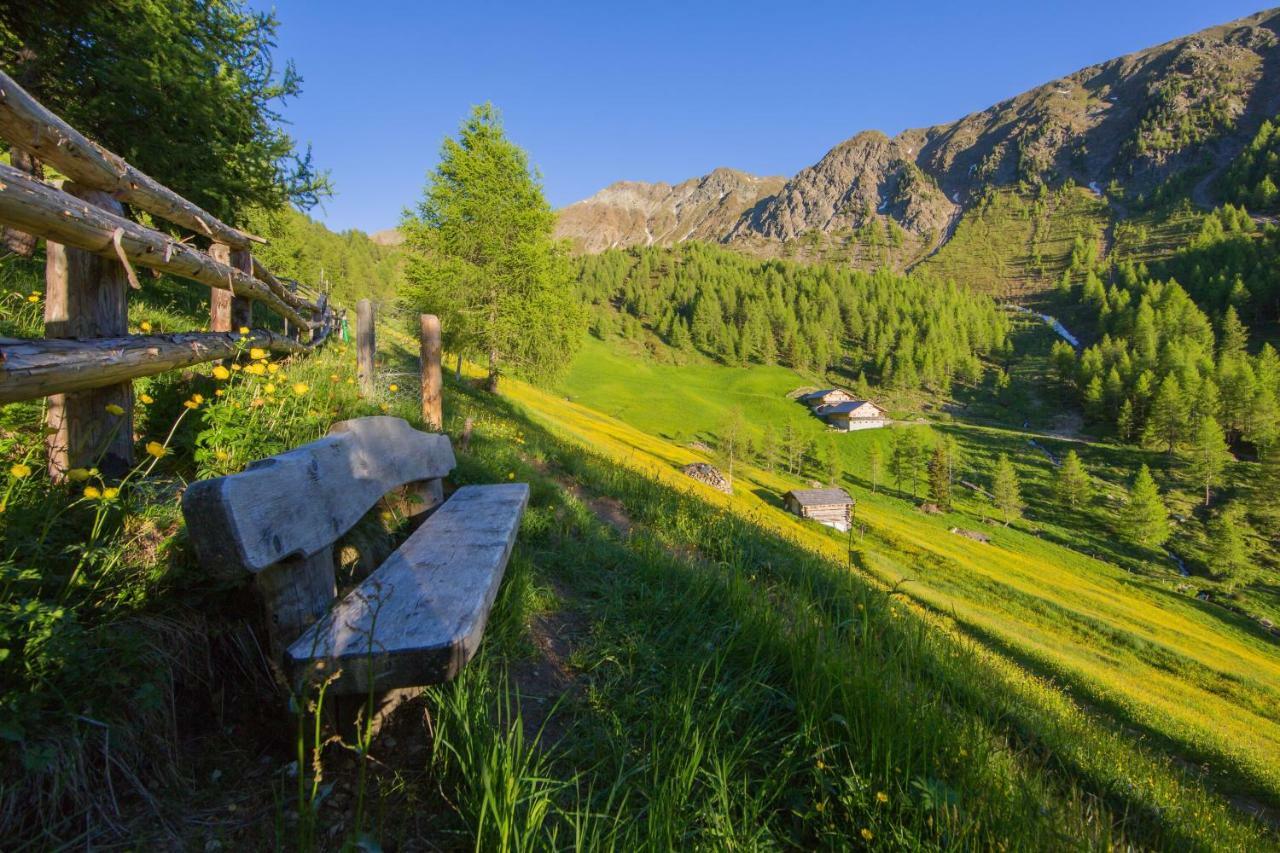 Appartamento Unterhabererhof Santa Maddalena in Val Casies Esterno foto